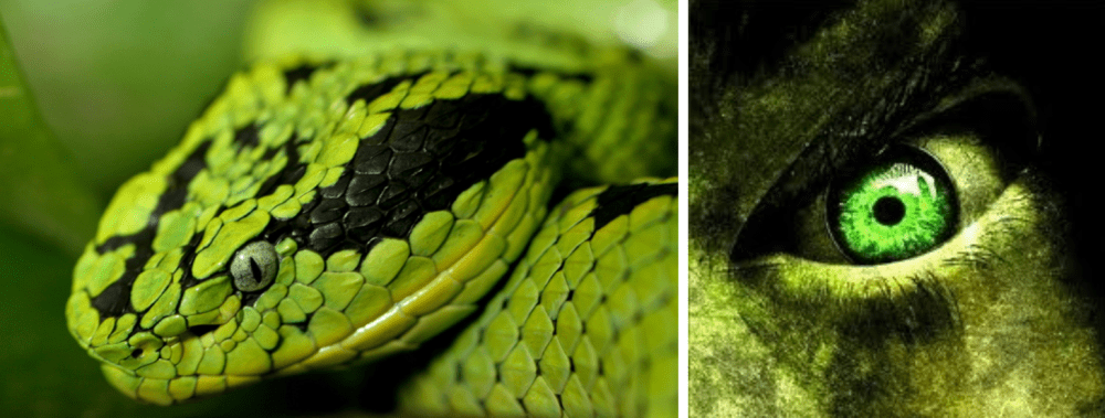 Screenshot 2014-07-06 22.18.39