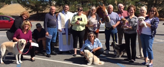 Blessing of Animals Martinez