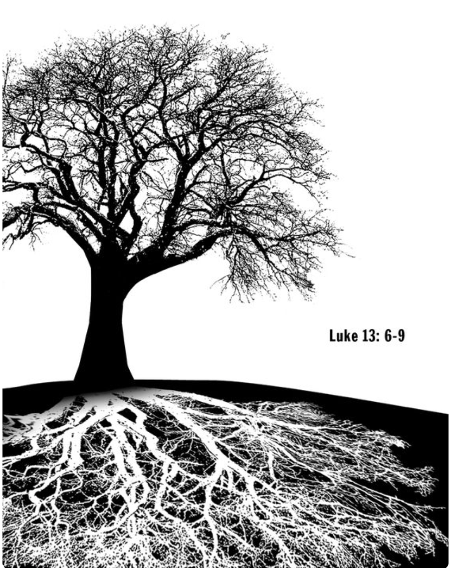 Screen Shot 2016-02-26 at 6.17.48 PM