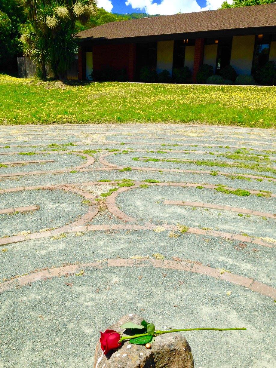 18489856_1591017750917831_1721831261716859033_o