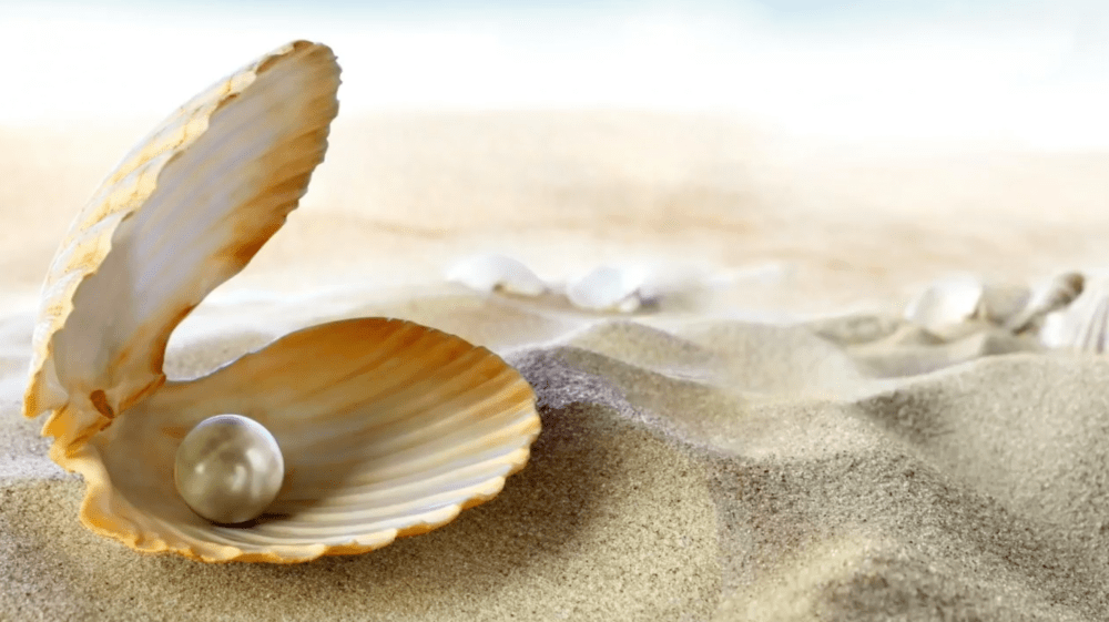 Screen Shot 2017-09-25 at 5.12.04 PM