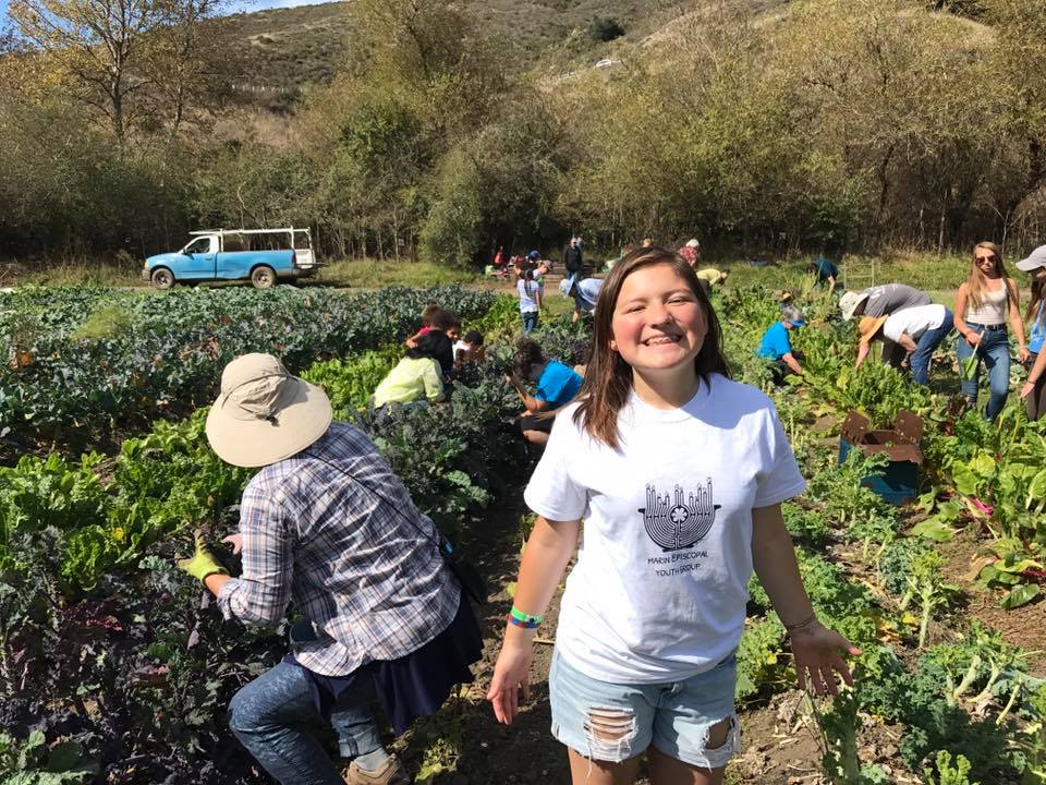 21768279_1020328138107338_143221817163936557_n