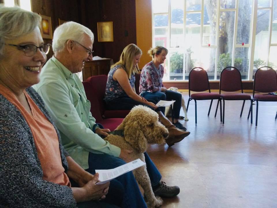 43405847_1687343538060148_7525286450716213248_n