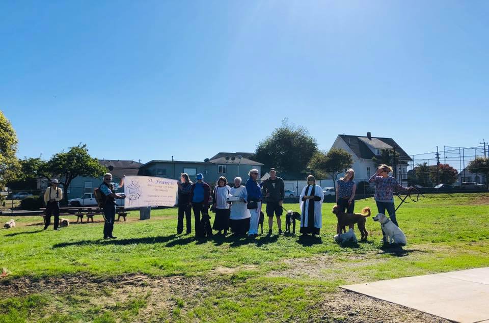 43417511_1687343601393475_6560576331485020160_n