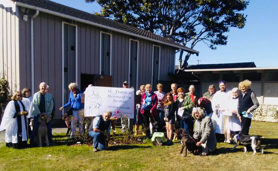 43490695_1687343544726814_1820370576435314688_n