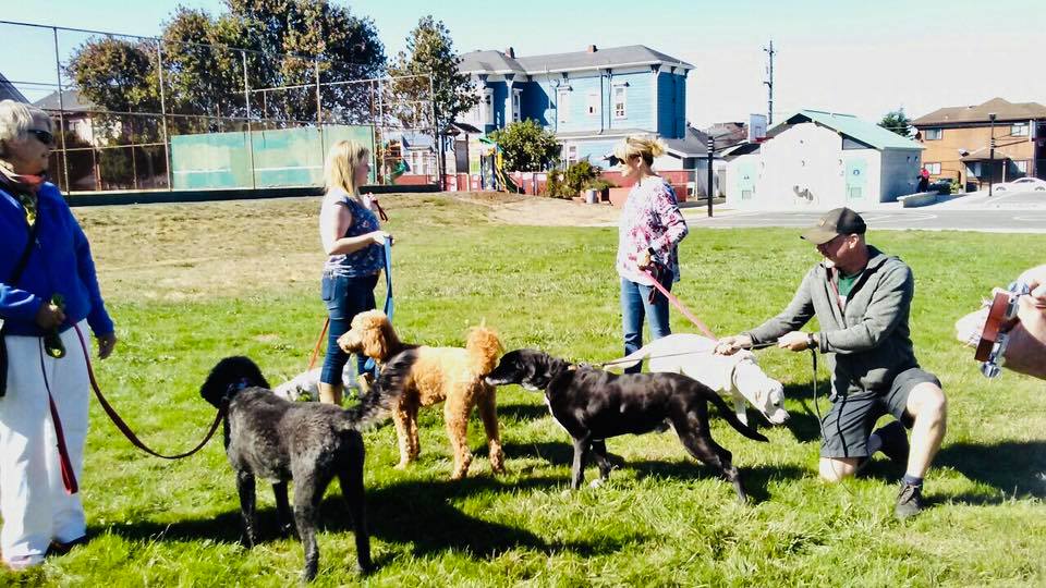 43565412_1687343471393488_7541614305762869248_n