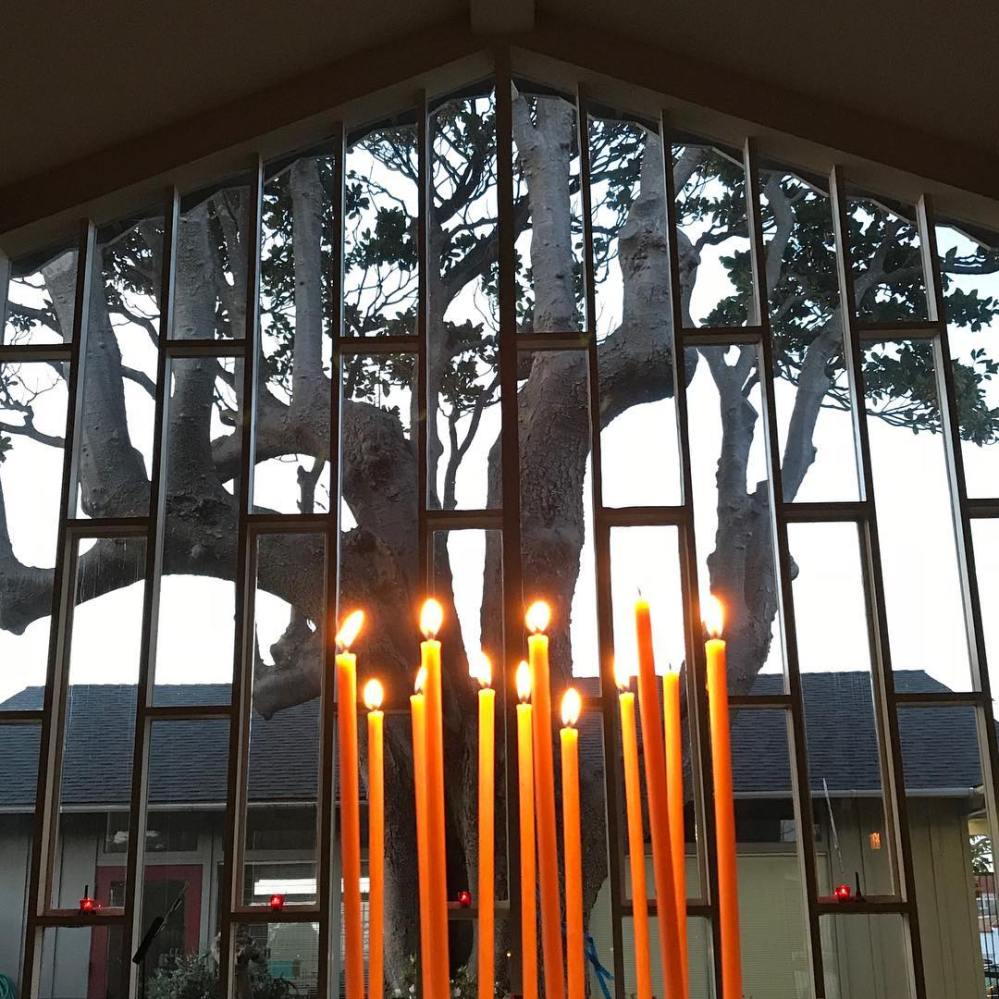 29351758_1451221945005643_8689435458937482090_o