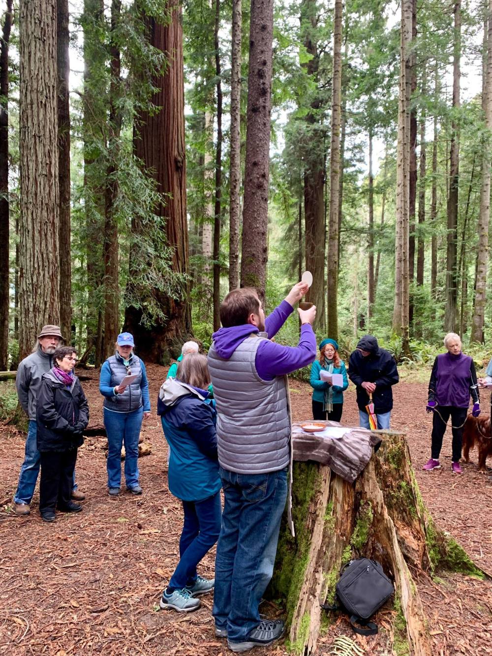 53857865_1898923066902193_7637159808927268864_o