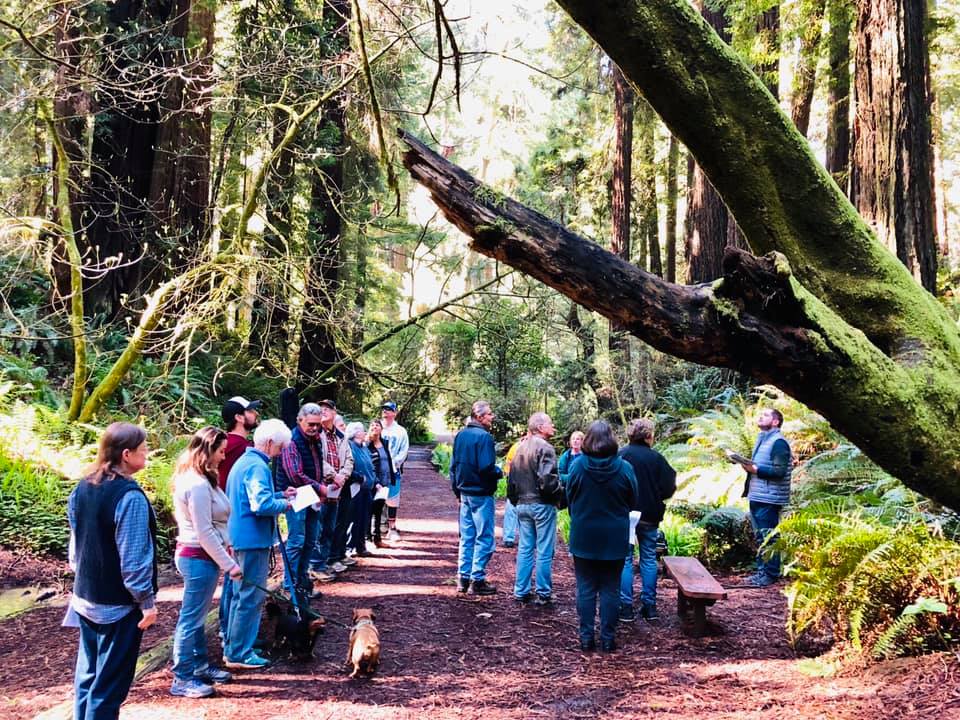 56350799_1927111864083313_1452062278806405120_n