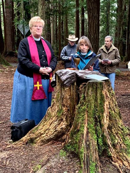 55554407_1925319950929171_2041486505129541632_o